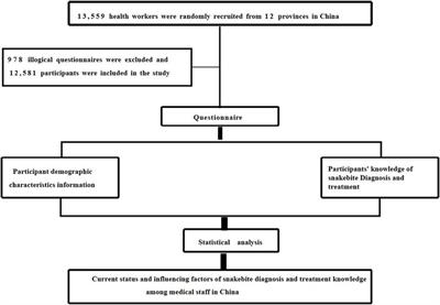 Current Status and Influencing Factors of Snakebite Diagnosis and Treatment Knowledge Among Medical Staff in China: A Cross-Sectional Study